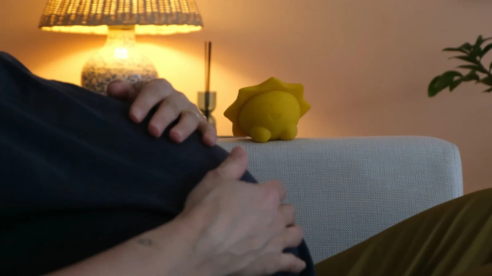 Müzik Arkadaşı