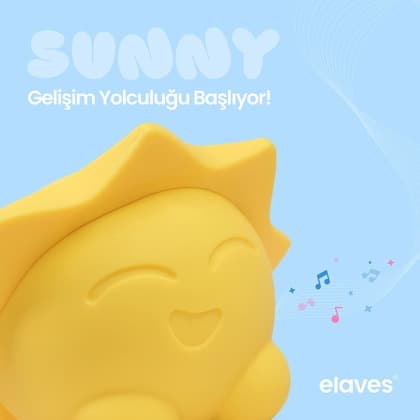 Gelişim Yolculuğu Rehberi